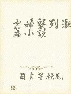 少妇系列激情短篇小说