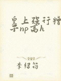 皇上强行糟蹋太子np高h