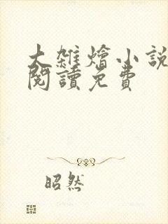 大杂烩小说全集阅读免费