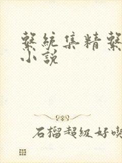 系统集精系统 小说