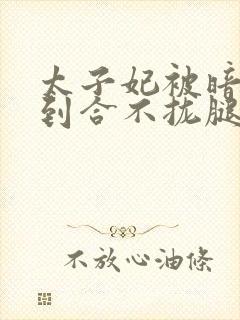 太子妃被暗卫C到合不拢腿