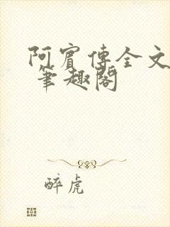 阿宾传全文阅读 笔趣阁