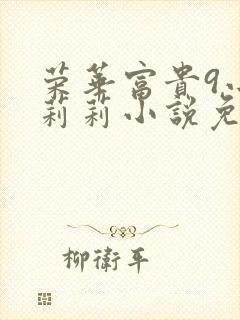 荣华富贵9小王莉莉小说免费阅读