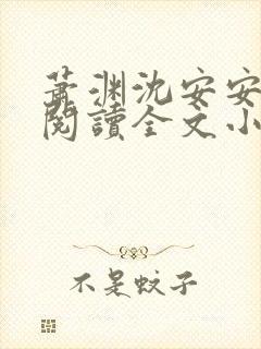 萧渊沈安安免费阅读全文小说