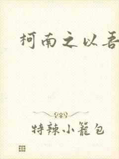 柯南之以吾之名