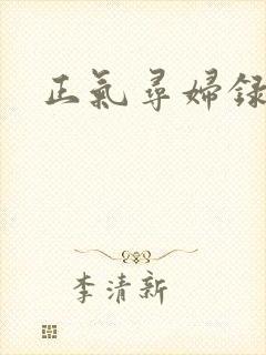 正气寻妇录