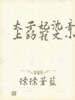 太子妃沈音和皇上的宠文小说