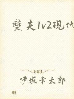 双夫1v2现代