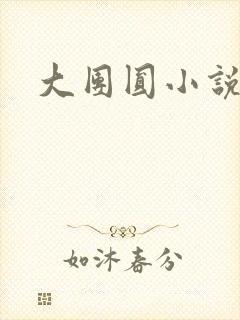 大团圆小说