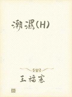 潮湿(H)
