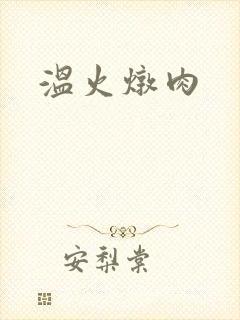 温火炖肉