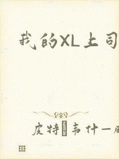 我的XL上司