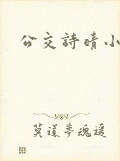 公交诗晴小说