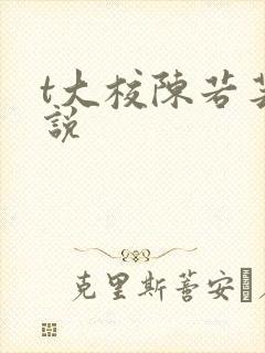 t大校陈若芸小说