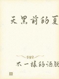 天黑前的夏天