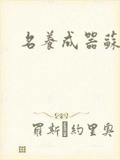 名养成器苏沫沫