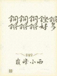 铜铜钢铿锵锵锵锵锵锵好多少阅读