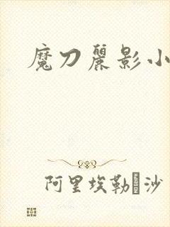 魔刀丽影小说