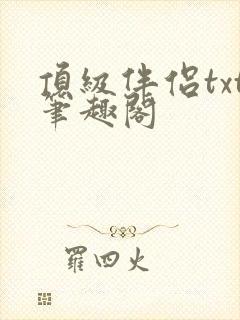 顶级伴侣txt笔趣阁