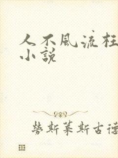 人不风流枉少年小说