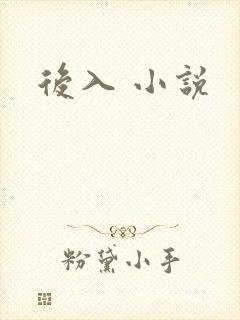 后入 小说