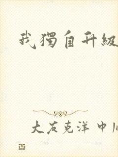 我独自升级小说