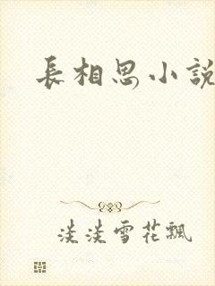 长相思小说原著