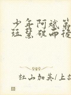 少年阿斌第二部珏慧破而后立