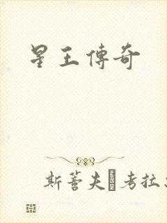 星王传奇