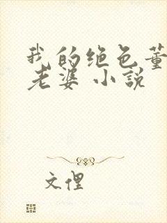 我的绝色董事长老婆 小说