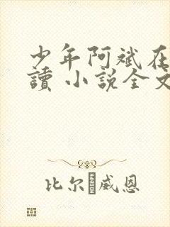 少年阿斌在线阅读 小说全文免费