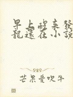 早上醒来发现巨龙还在小说