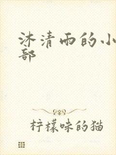 沐清雨的小说全部