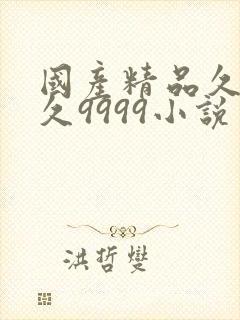 国产精品久久久久9999小说