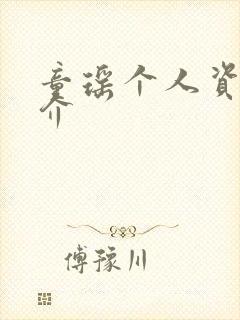 童瑶个人资料简介