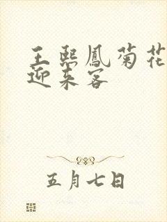 王熙凤菊花门初迎来客