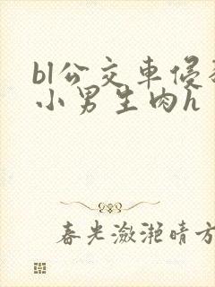 bl公交车侵犯小男生肉h