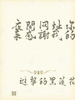 夜间网址你会回来感谢我的