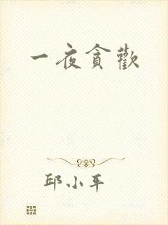 一夜贪欢