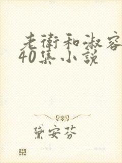 老卫和淑容1-40集小说