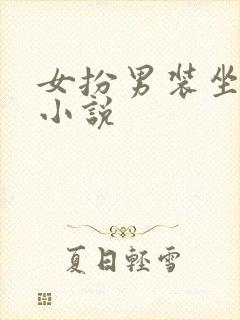 女扮男装坐江山小说