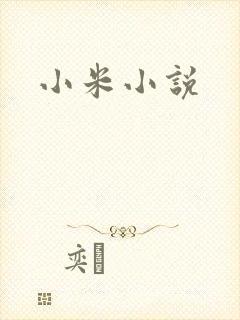 小米小说