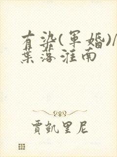 有染(军婚)/叶落淮南