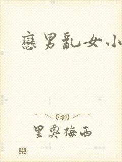 恋男乱女小说
