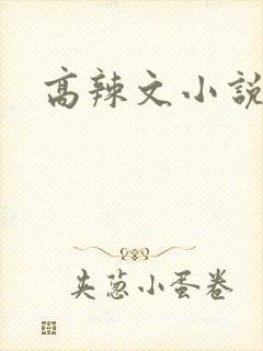 高辣文小说