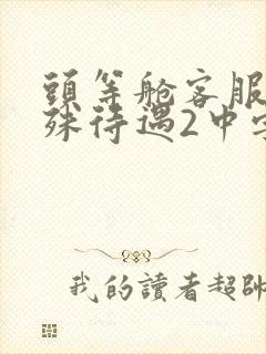 头等舱客服的特殊待遇2中字