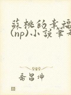 苏桃的幸福生活(np)小说笔趣阁沐沐