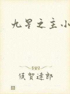 九星之主小说