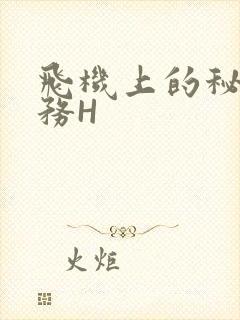 飞机上的秘密服务H