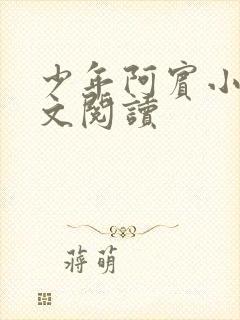 少年阿宾小说全文阅读